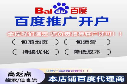 SEM推广案例：揭秘高ROI背后的策略与实践